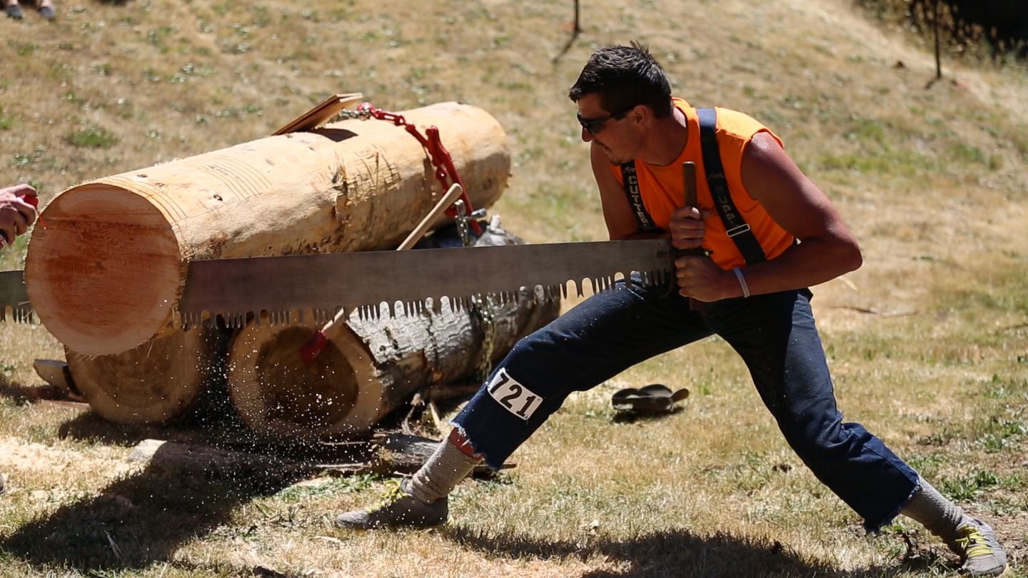 Log Sawing Contest